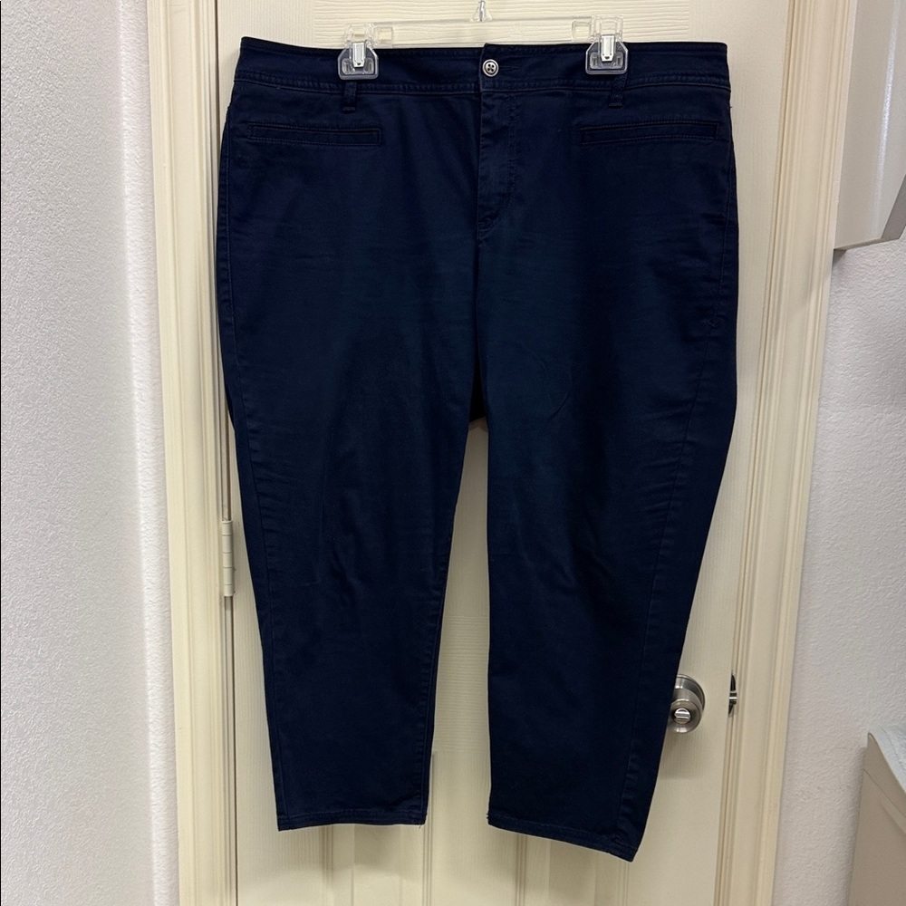 Lane Bryant Dark Blue Ankle Chinos